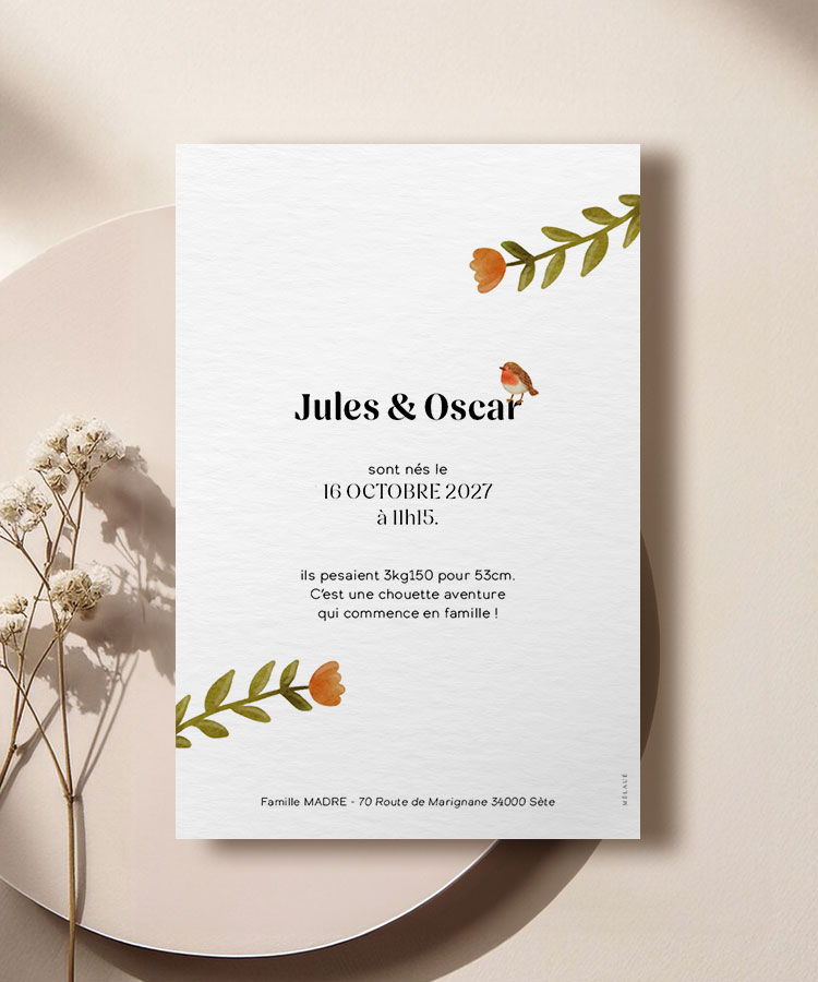 Faire part naissance jumeaux