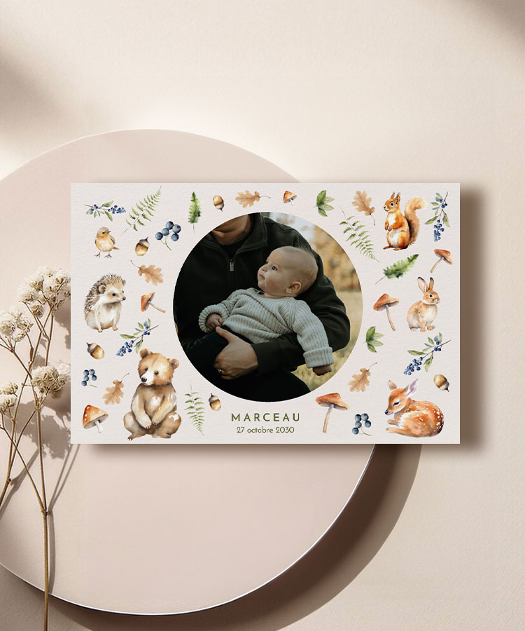 Faire-part naissance Animaux Foret