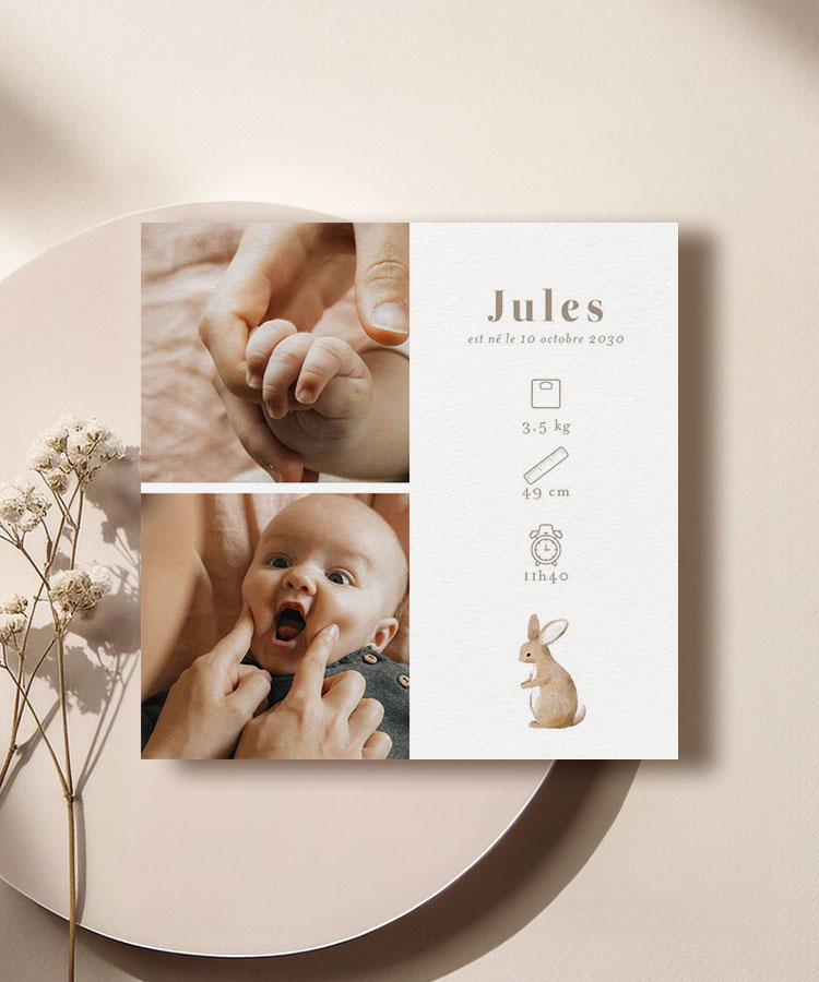 Faire-part naissance lapin
