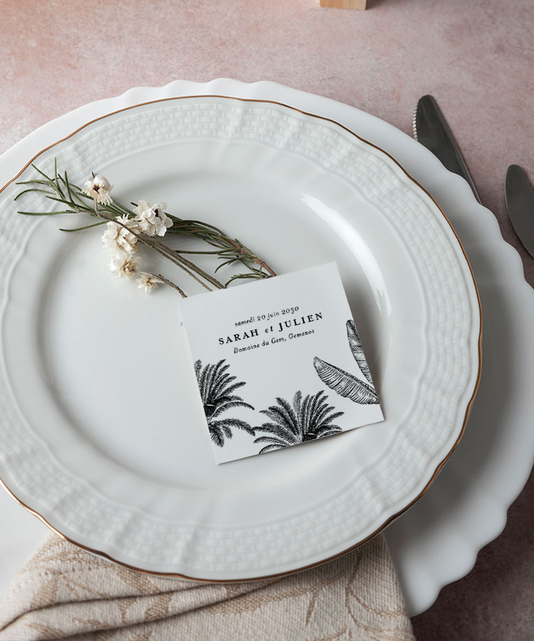 Marque place Palmier