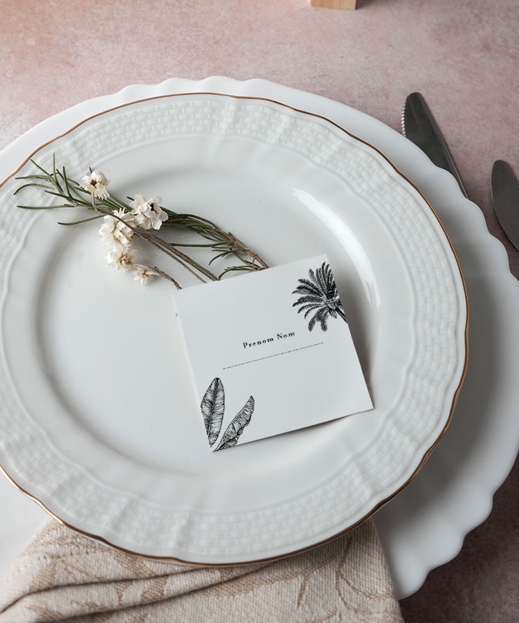 Marque place Palmier